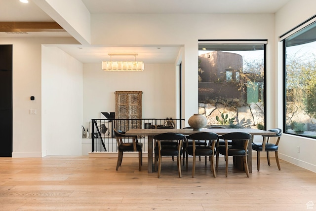 dining room with baseboards and wood finished floors