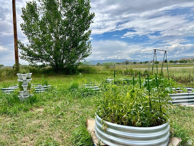 1568 N 750 E, Vernal, UT 84078 - view of yard with a vegetable garden
