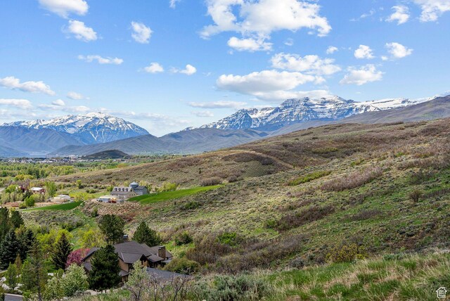 2591 River Meadows Ln N Unit 19, Midway, UT 84049 - photo 2