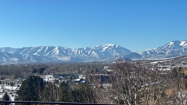 2591 River Meadows Ln N Unit 19, Midway, UT 84049 - photo 4