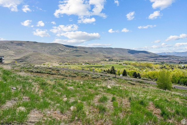 2591 River Meadows Ln N Unit 19, Midway, UT 84049 - photo 12