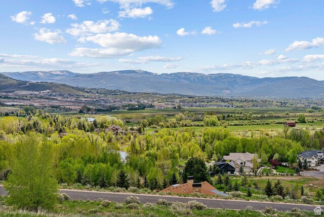 2591 River Meadows Ln N Unit 19, Midway, UT 84049 - photo 13