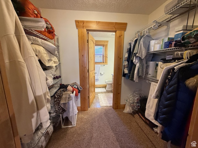 8043 E Badger Dr N, Heber City, UT 84032 - spacious closet featuring carpet floors