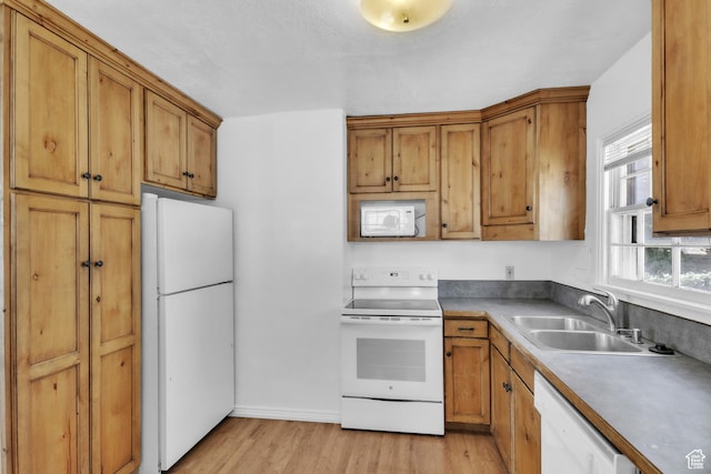 770 W 700 N, Provo, UT 84601 - kitchen with white appliances, a sink, light wood-style floors, and brown cabinets