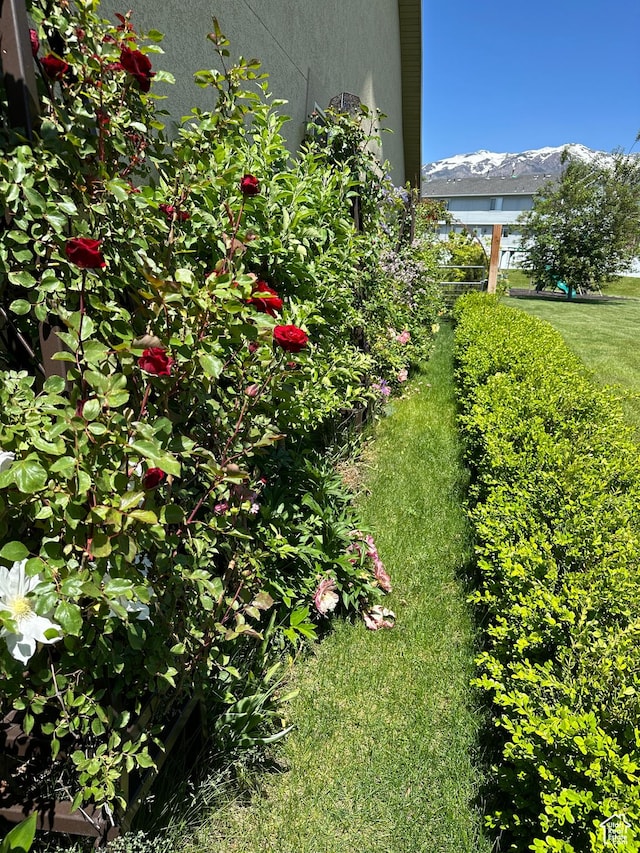 742 N Stonne Ln, Kaysville, UT 84037 - view of yard