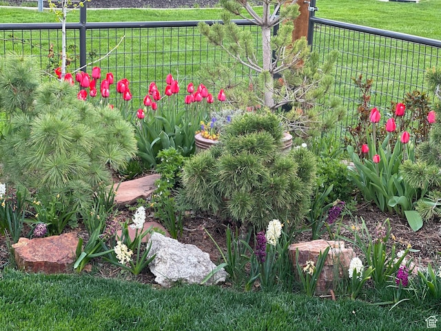 742 N Stonne Ln, Kaysville, UT 84037 - view of yard