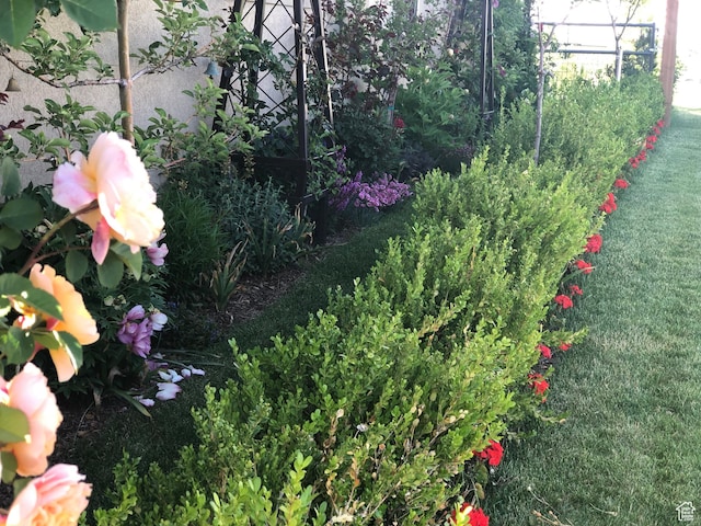 742 N Stonne Ln, Kaysville, UT 84037 - view of yard