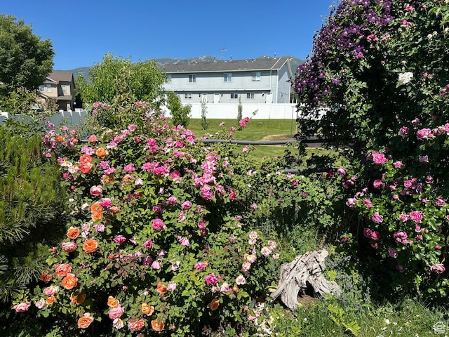 742 N Stonne Ln, Kaysville, UT 84037 - view of yard