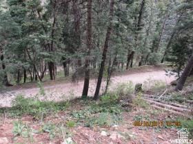 38 Pine Creek Rd Unit A38, Mount Pleasant, UT 84647