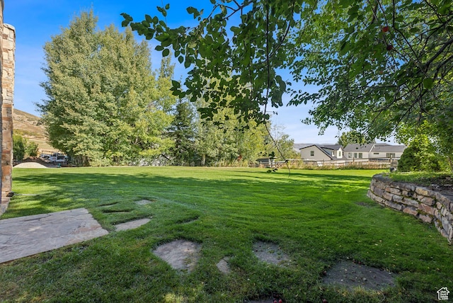 view of yard