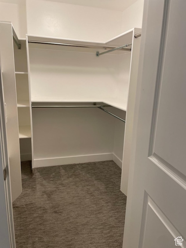 spacious closet with dark carpet