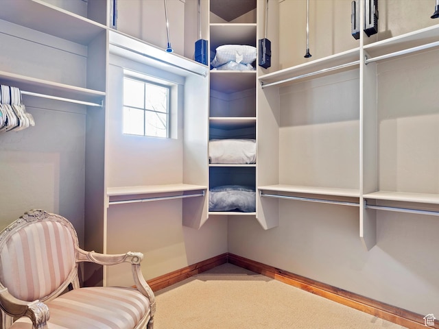 946 S Meadow Lark Ln E, Huntsville, UT 84317 - spacious closet with carpet floors