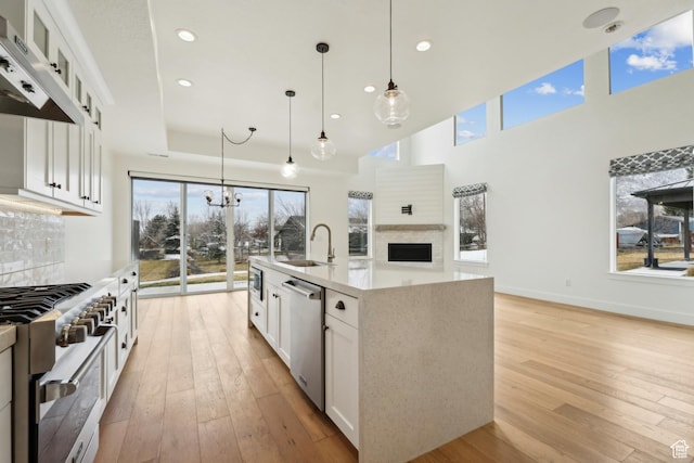 1127 N 520 W Unit 40, Midway, UT 84049 - kitchen with stainless steel appliances, under cabinet range hood, a sink, light wood finished floors, and glass insert cabinets