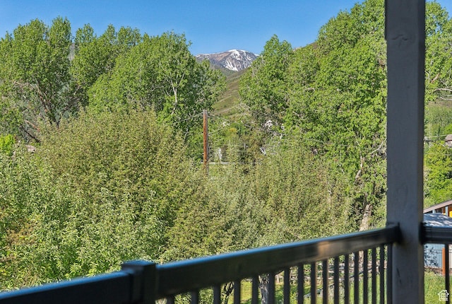 1127 N 520 W Unit 40, Midway, UT 84049 - view of mountain backdrop