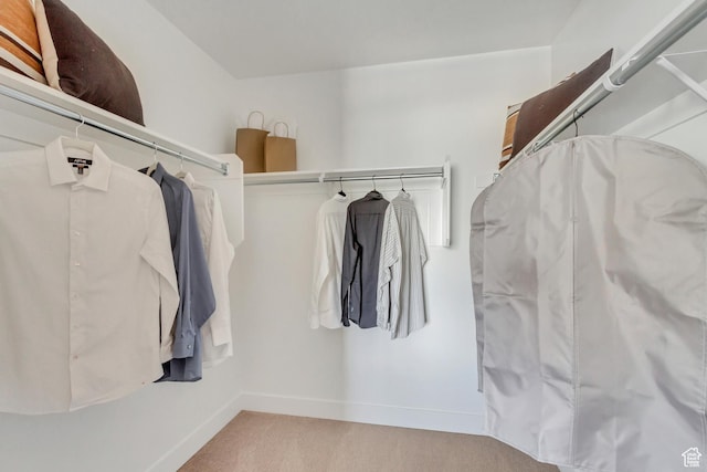 walk in closet featuring carpet flooring