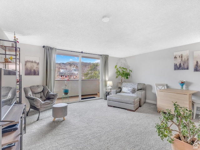 521 E 5th Ave Unit 605, Salt Lake City, UT 84103 - carpeted living room with a textured ceiling and baseboards