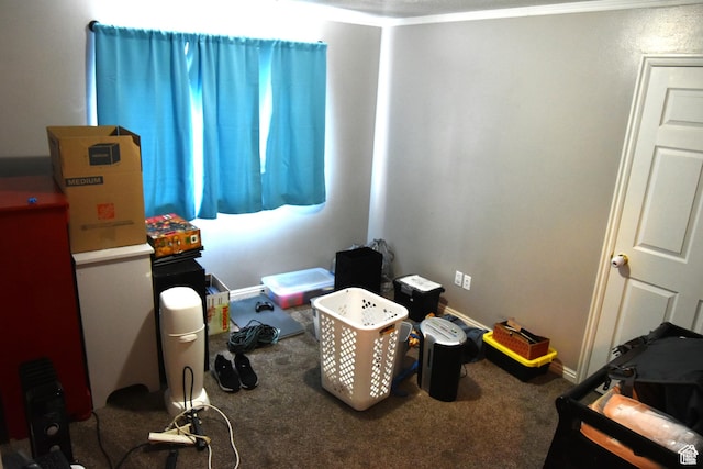 8196 N Cedar Springs Rd Unit 1, Eagle Mountain, UT 84005 - misc room featuring carpet floors