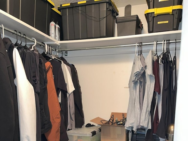 8196 N Cedar Springs Rd Unit 1, Eagle Mountain, UT 84005 - view of walk in closet