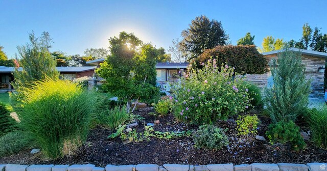 4304 S Vallejo Dr E, Holladay, UT 84124 - photo 4