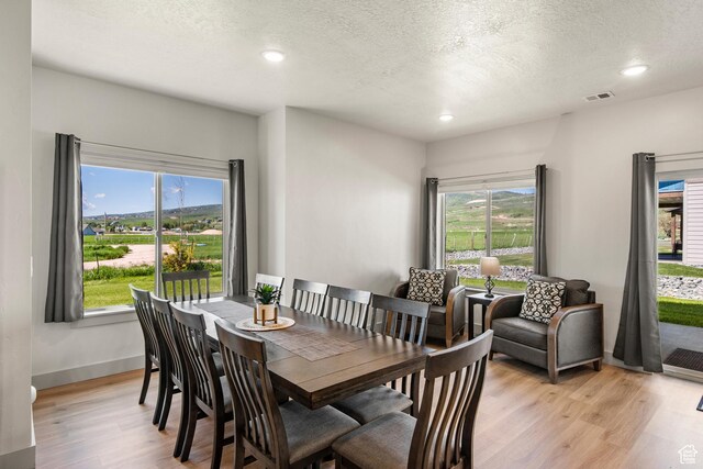 140 W 150th St S Unit D12, Garden City, UT 84028 - dining area with baseboards, visible vents, light wood-style flooring, recessed lighting, and a textured ceiling