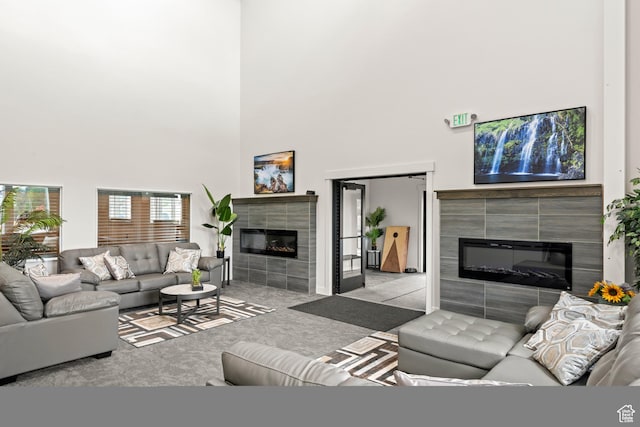 140 W 150th St S Unit D12, Garden City, UT 84028 - living area with carpet, a towering ceiling, and a tile fireplace
