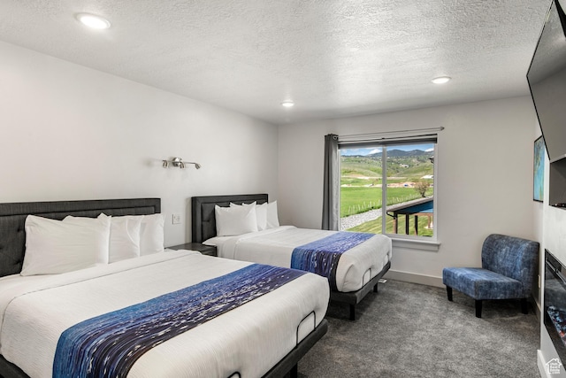 140 W 150th St S Unit D12, Garden City, UT 84028 - bedroom featuring recessed lighting, baseboards, a textured ceiling, and carpet flooring