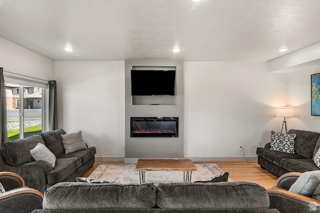 140 W 150th St S Unit D12, Garden City, UT 84028 - living room with a glass covered fireplace, baseboards, a textured ceiling, and wood finished floors