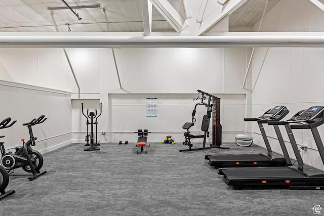 140 W 150th St S Unit D12, Garden City, UT 84028 - exercise area featuring track lighting and carpet flooring