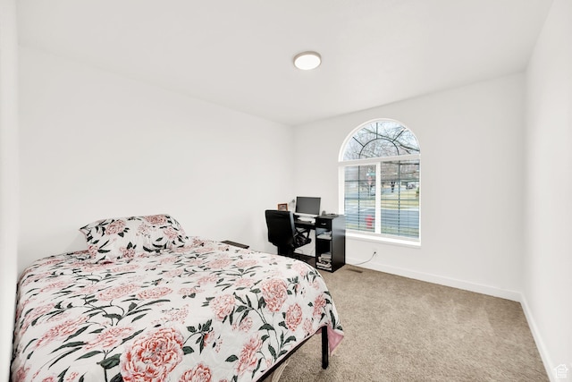 7898 N Tinamous Rd, Eagle Mountain, UT 84005 - bedroom featuring baseboards and carpet floors