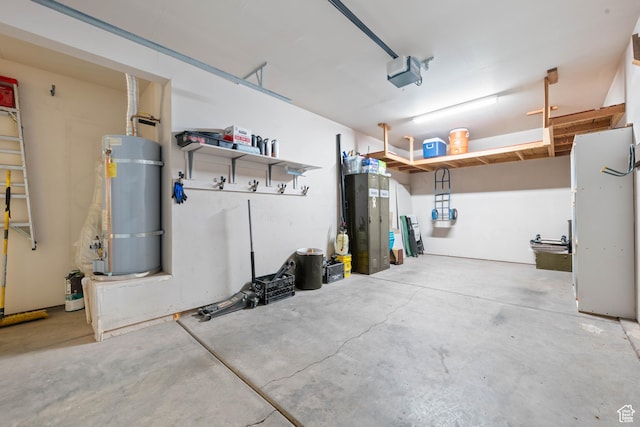 265 E Kimball Ct, Washington, UT 84780 - garage with strapped water heater and a garage door opener