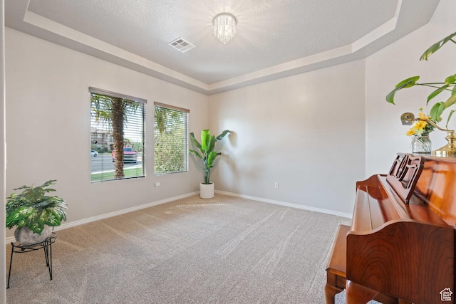 265 E Kimball Ct, Washington, UT 84780 - sitting room with carpet, visible vents, baseboards, a textured ceiling, and a raised ceiling
