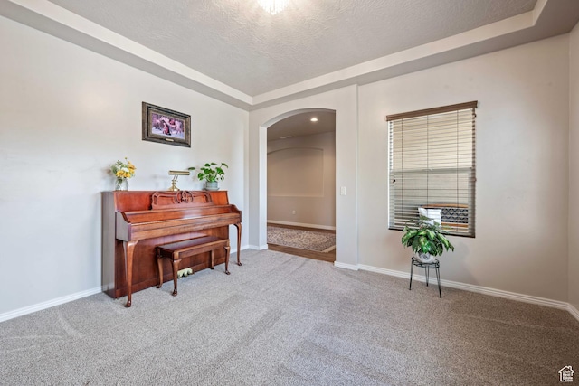 265 E Kimball Ct, Washington, UT 84780 - sitting room with baseboards, arched walkways, carpet, and a textured ceiling