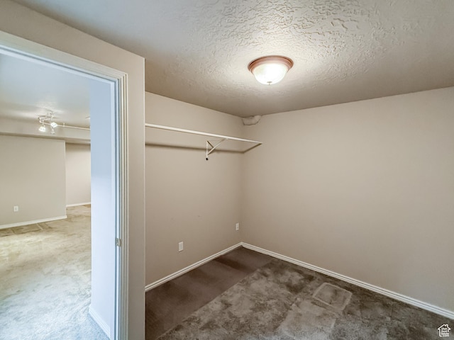 walk in closet featuring carpet floors