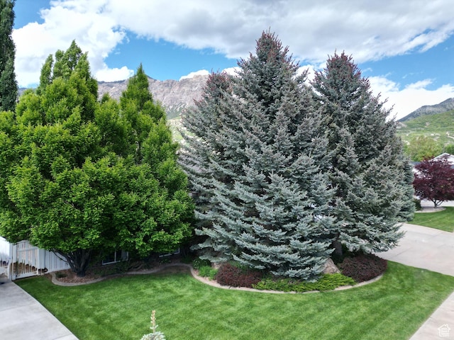 1164 E 2650 N, North Ogden, UT 84414 - view of yard with a mountain view and a gate
