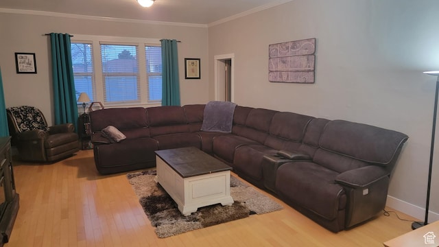 596 W 200 S, Vernal, UT 84078 - living area featuring baseboards, ornamental molding, and light wood finished floors