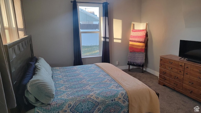 596 W 200 S, Vernal, UT 84078 - bedroom with baseboards, multiple windows, and carpet