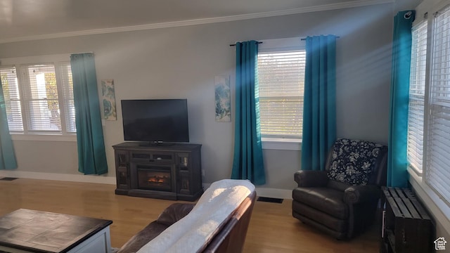 596 W 200 S, Vernal, UT 84078 - living room with a healthy amount of sunlight, wood finished floors, baseboards, and ornamental molding