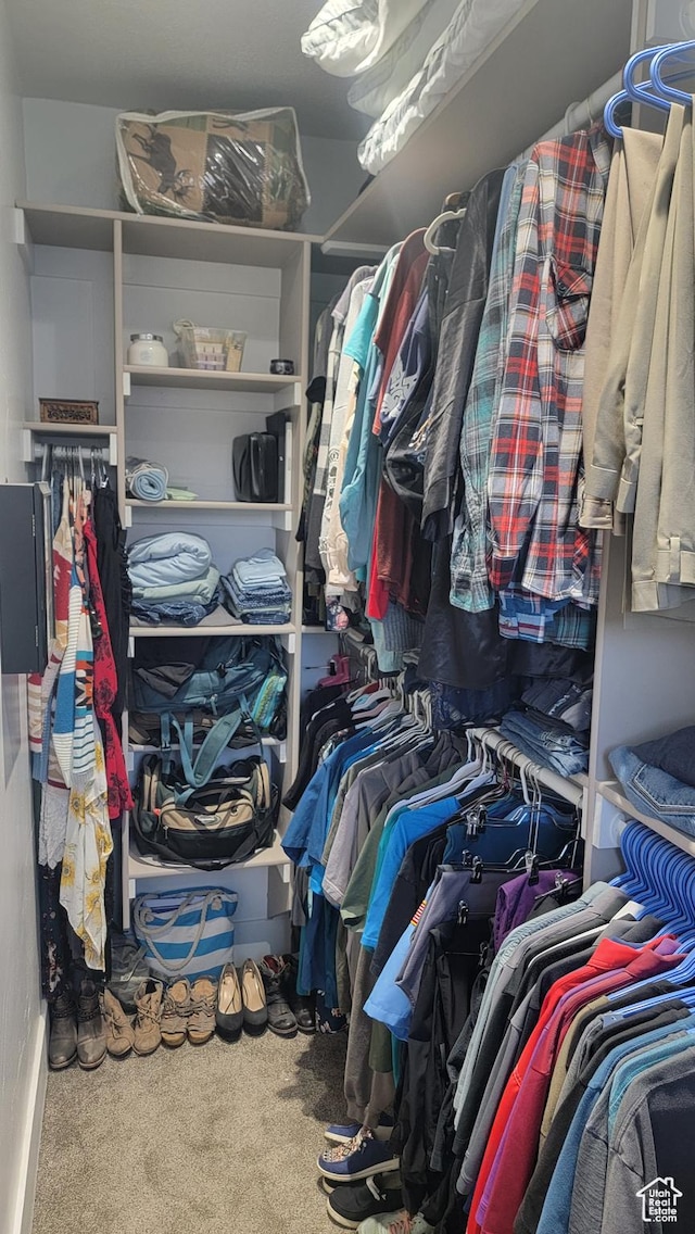 596 W 200 S, Vernal, UT 84078 - walk in closet featuring carpet