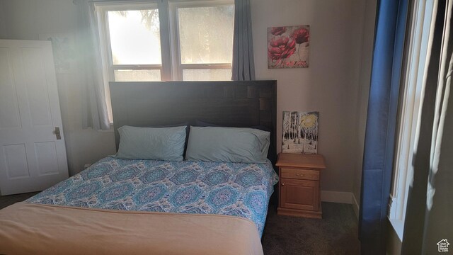 596 W 200 S, Vernal, UT 84078 - bedroom with dark carpet