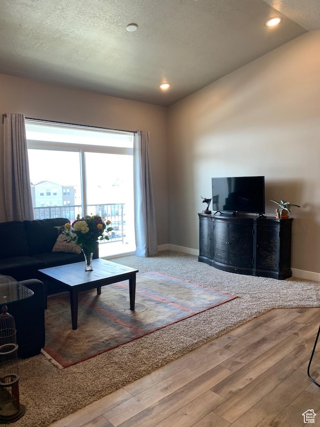 1128 S 820 E Unit 7304, Heber City, UT 84032 - living area with recessed lighting, wood finished floors, baseboards, and a textured ceiling