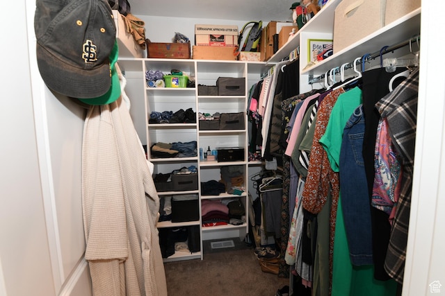 306 W 450 S, Ephraim, UT 84627 - walk in closet featuring carpet floors