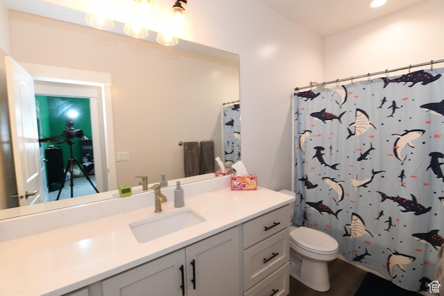 306 W 450 S, Ephraim, UT 84627 - bathroom featuring vanity, recessed lighting, wood finished floors, and a shower with curtain