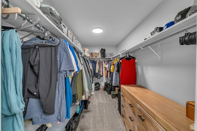 3231 S 300 W, Washington, UT 84780 - spacious closet with carpet flooring