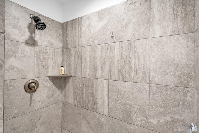 3231 S 300 W, Washington, UT 84780 - details with a tile shower