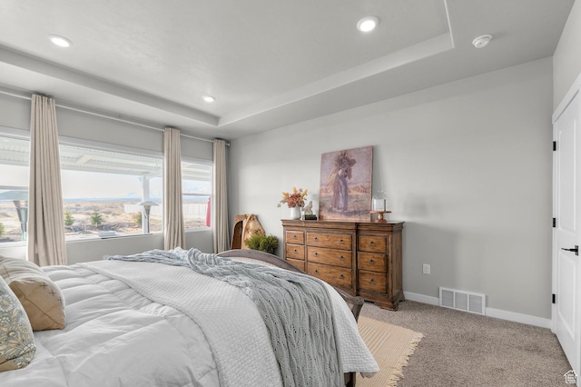 134 E Marciano Way, Grantsville, UT 84029 - bedroom featuring light carpet, a raised ceiling, visible vents, and recessed lighting