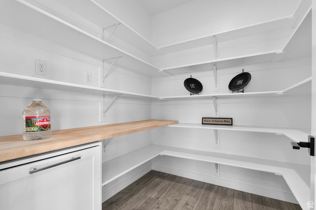 134 E Marciano Way, Grantsville, UT 84029 - view of pantry