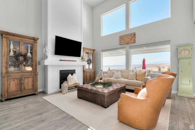 134 E Marciano Way, Grantsville, UT 84029 - living area featuring baseboards, a fireplace, light wood-style flooring, and a high ceiling