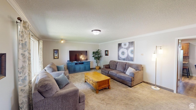 1207 S 600 W, Preston, ID 83263 - living room featuring crown molding, carpet floors, and a textured ceiling
