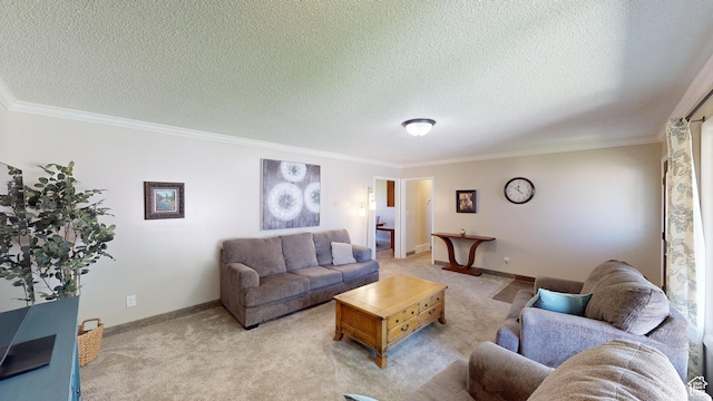 1207 S 600 W, Preston, ID 83263 - living room with light colored carpet, ornamental molding, and a textured ceiling