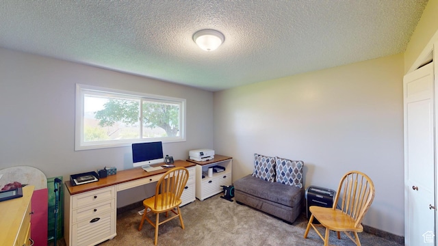 1207 S 600 W, Preston, ID 83263 - office with carpet floors and a textured ceiling